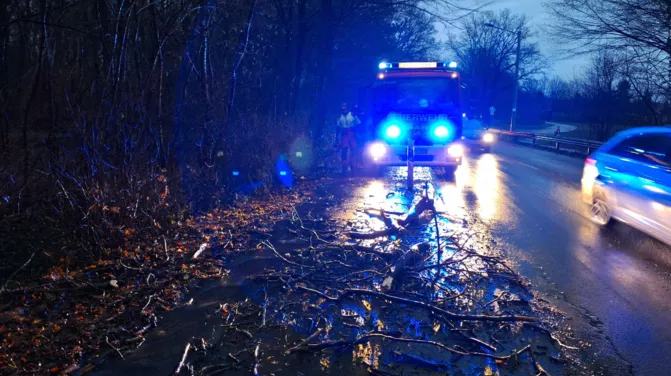 Hilfeleistung: Ast auf Radweg