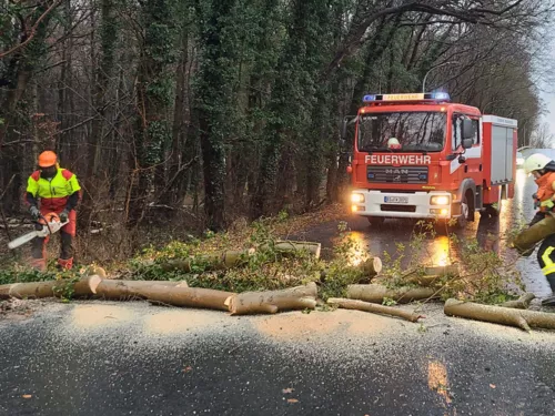 Hilfeleistung : Baum auf Straße