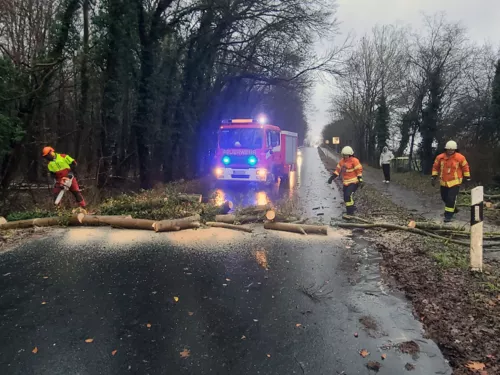 Hilfeleistung : Baum auf Straße