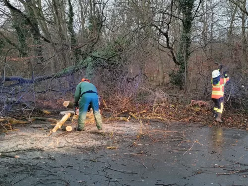 Hilfeleistung: Baum auf Straße