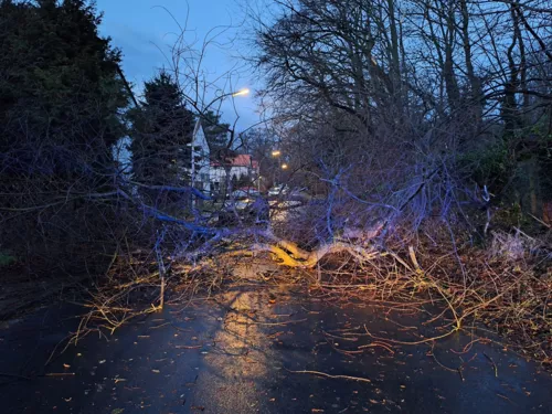 Hilfeleistung: Baum auf Straße